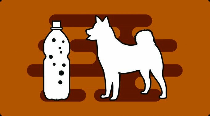 Können Hunde Sprudelwasser Trinken?