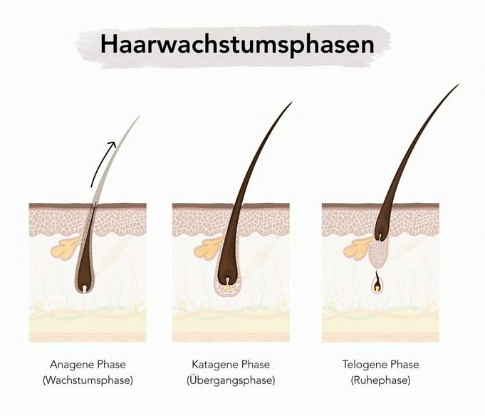 Microneedling Der Kopfhaut. Funktioniert Dermarolling Bei Haarausfall?